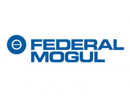 Federal Mogul