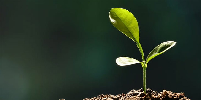 ISO 14001